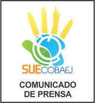 suecobaej prensa
