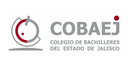 sitio oficial cobaej